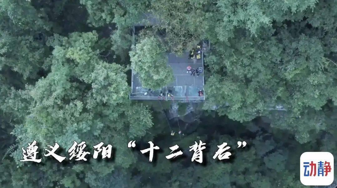 交通公路赛车手