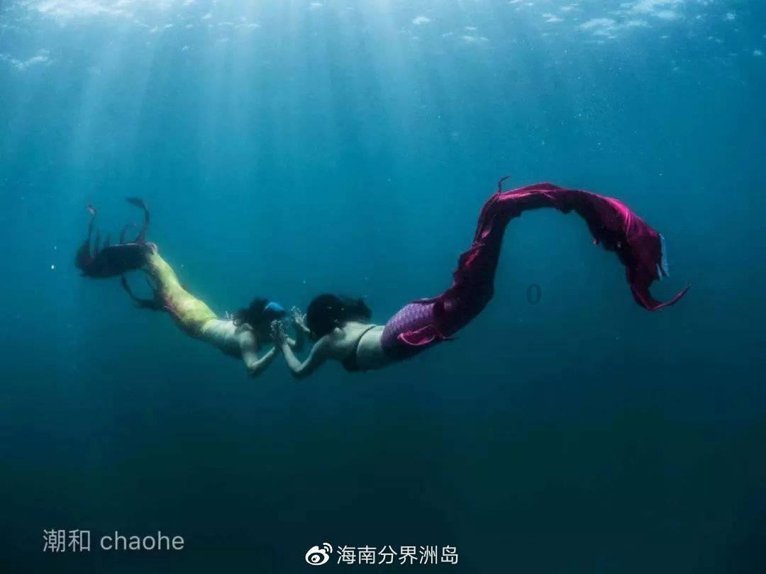 藕和木耳搭配吃可以吗？游戏画面